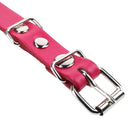 Collar Para Perro 40X2 Cm Accesorio Mascota