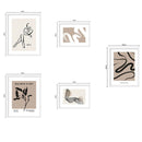 Set de 5 Cuadros Vintage 40x50 cm