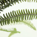 Planta Artificial Helecho 43 cm Verde