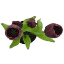 Tulipan Morado 8 Cm Morado