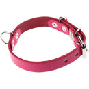Collar Para Perro 40X2 Cm Accesorio Mascota