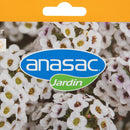 Semilla de flor alisum 1 gr Sachet