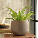 Macetero Ceuta De Ceramica 30X23 Cm Beige