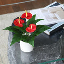 Planta Artificial Flores 30 Cm Rojo