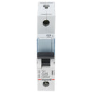 Interruptor 1X25A230/400V/C6Ka