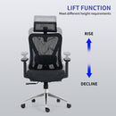 Silla Pc Ergonomica Leon Negro