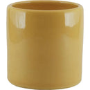 Macetero Cactus de Ceramica 9x9.5 cm Mostaza