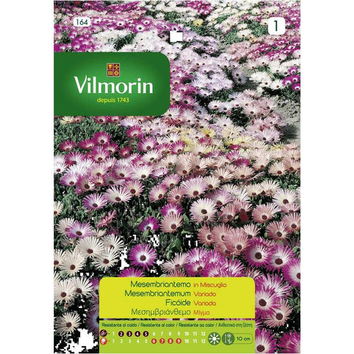 Semilla Flor Tapete Magico 1 gr Sachet