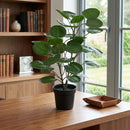 Planta Artificial Polysc 59 cm Verde