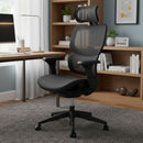 Silla Ejecutiva Ergonomica Ergoplus Negro