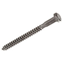 Tornillo Tirafondo Madera 4 Pulg 1/4 Pulg 2 Unidad(Es)