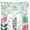 Sustrato plantas de interior 20 l