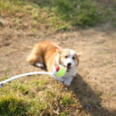 Juguete para perros lanza pelotas