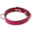 Collar Para Perro Suela 50X2. 5 Cm Mascotas