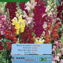 Semilla Flor Perrito Gigante 0.6 gr Sachet