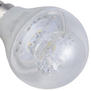 Ampolleta Led Mini Globo 5 W E14 470 Lm Luz Fria