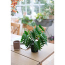 Planta Artificial Filodendro 35 Cm Verde