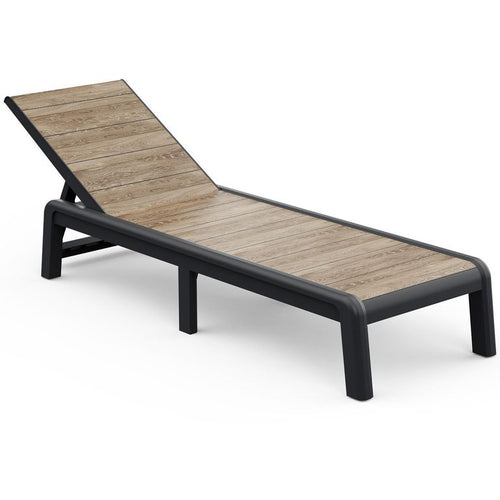Reposera Plegable Resina Cafe