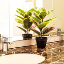 Planta Artificial Gomero 43 cm Rosado