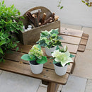 Set 3 Plantas Artificiales 13 cm Verde