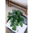 Planta Artificial Monstera 42 Cm Verde