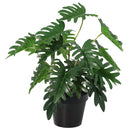 Planta Artificial Filodendro 35 Cm Verde