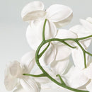 Vara Artificial Orquidea 78 cm Blanco