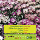Semilla Flor Tapete Magico 1 gr Sachet