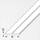 Barra Plana Para Muebles 19. 5 Mm X 100 Cm