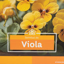 Semilla de flor viola 1 gr Sachet