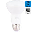 Ampolleta Led 6 W E27 630 lm Luz Fria
