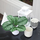 Planta Artificial Calathea 21 cm Verde