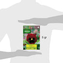 Semilla Flor Pensamiento Rojo 0.5 gr Sachet
