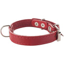 Collar Para Perro Suela 40X2 Cm Accesorio Mascotas