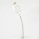 Vara Artificial Orquidea 78 cm Blanco