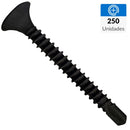 Tornillo Yescar Pbn 6X1 250U