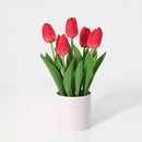 Planta Artificial Tulipan 36 Cm Rojo