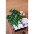 Planta Artificial Monstera 42 Cm Verde
