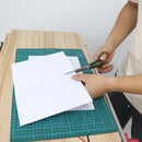 Tijera Acero Para Papel 170 Mm