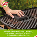 Esponja Parrilla