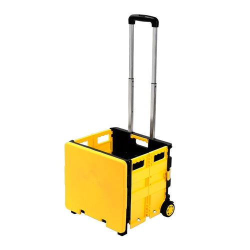 Carro de compras plegable 35kg 