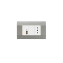 Módulo USB 5A/2.1A + Enchufe simple 10A Plata K-P03 