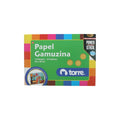 Carpeta Con Papel Gamuzina 12 Pliegos 12 Colores 20X30 Cm