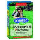 Semillas de Pasto Mezcla Manquehue con Dichondra 500grs 
