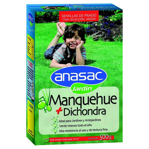 Semillas de Pasto Mezcla Manquehue con Dichondra 500grs 