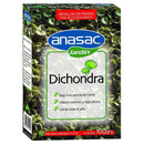 Semillas de Dichondra 100grs 