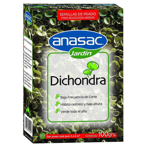 Semillas de Dichondra 100grs 