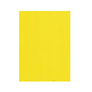 Goma Eva Lisa 20 X 30 Cm 2 Mm Color Amarillo 10 Un