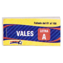 Formulario Vale Voto Caja 9 X 4 Cm 100 Hj