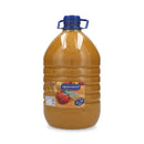JUGO EN BIDON CONCENTRADO 5 LT DURAZNO (6852081942736)